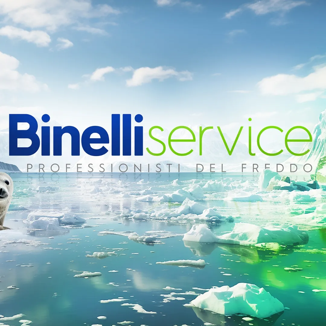 Marchio Binelli Service su un paesaggio glaciale